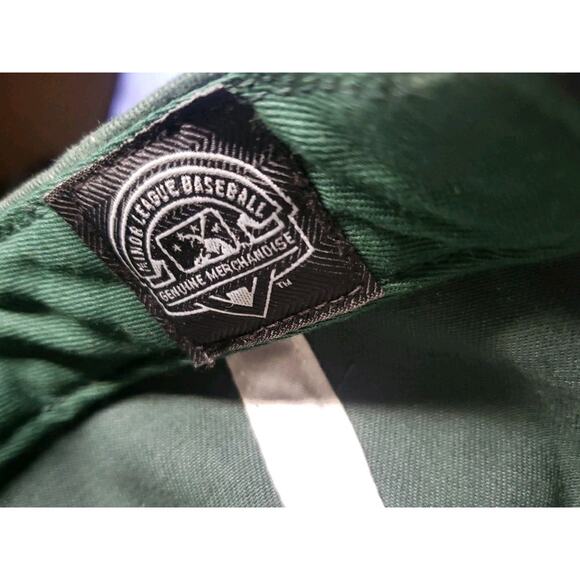 Fort Wayne TinCaps Youth MiLB OC Sports Strapback Adjustable Baseball Hat Multi - Picture 8 of 8